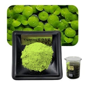 Lemna Protein Concentrate (LPC) green powder on plate
