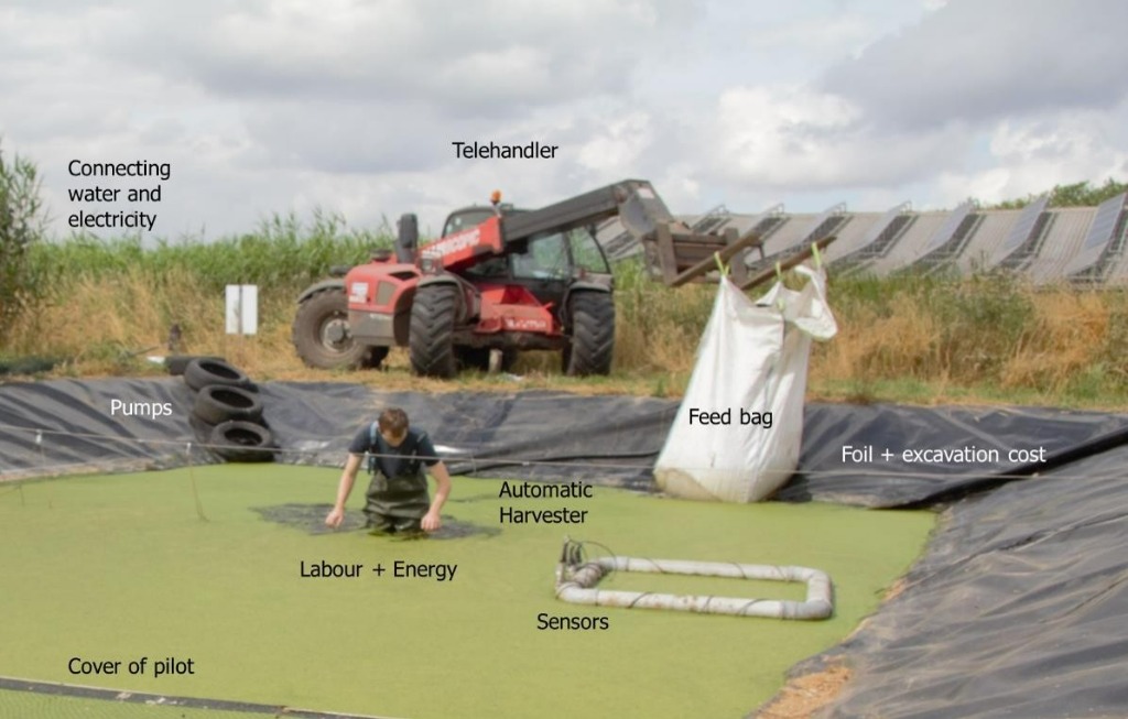 Lemnora pilot pond layout diagram showcasing automatic harvesting, telehandlers, and sensors